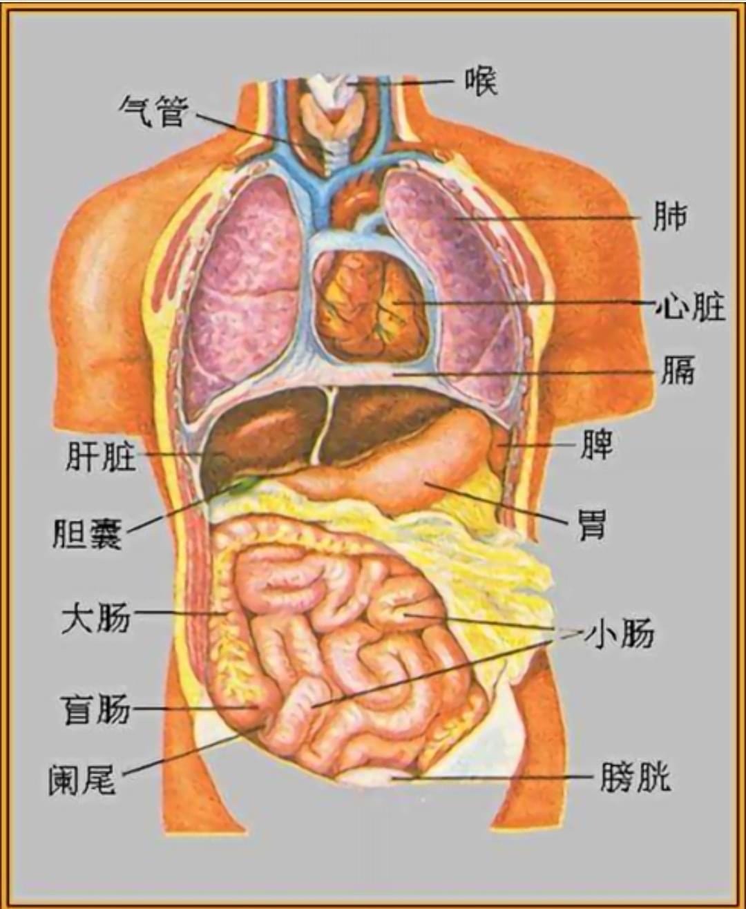 月丘菜緒 Explore Tumblr Posts And Blogs Tumgir 月丘菜緒 Explore Tumblr Posts And Blogs Tumgir