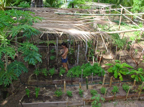 A glimpse around the property since the rains arrived. 