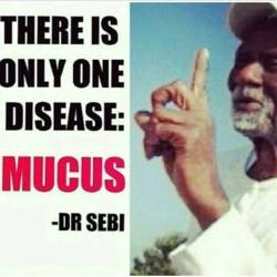 messagetothemessengers: I Repeat.   Mucous is not a Disease. Mucous is part of the bodies cleansing and protecting system.  That crap you ate is the disease. 