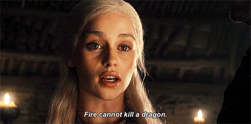 hollandmarierps:  Khaleesi? 
