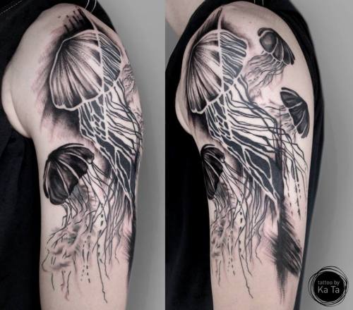  composition with meduzas (half healed-half fresh) 