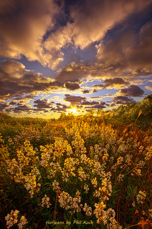 “Imagine a World”Wisconsin Horizons by Phil KochTurning natural landscapes into portrait