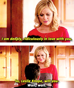 kerrywashingten:  Ben/Leslie Meme → 1/6 Scenes ↳ Proposal in 5x05 
