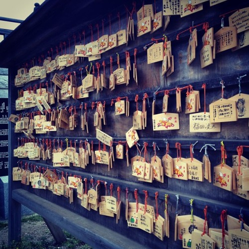 yoshisabroad:  #japan #chiba #shrine 