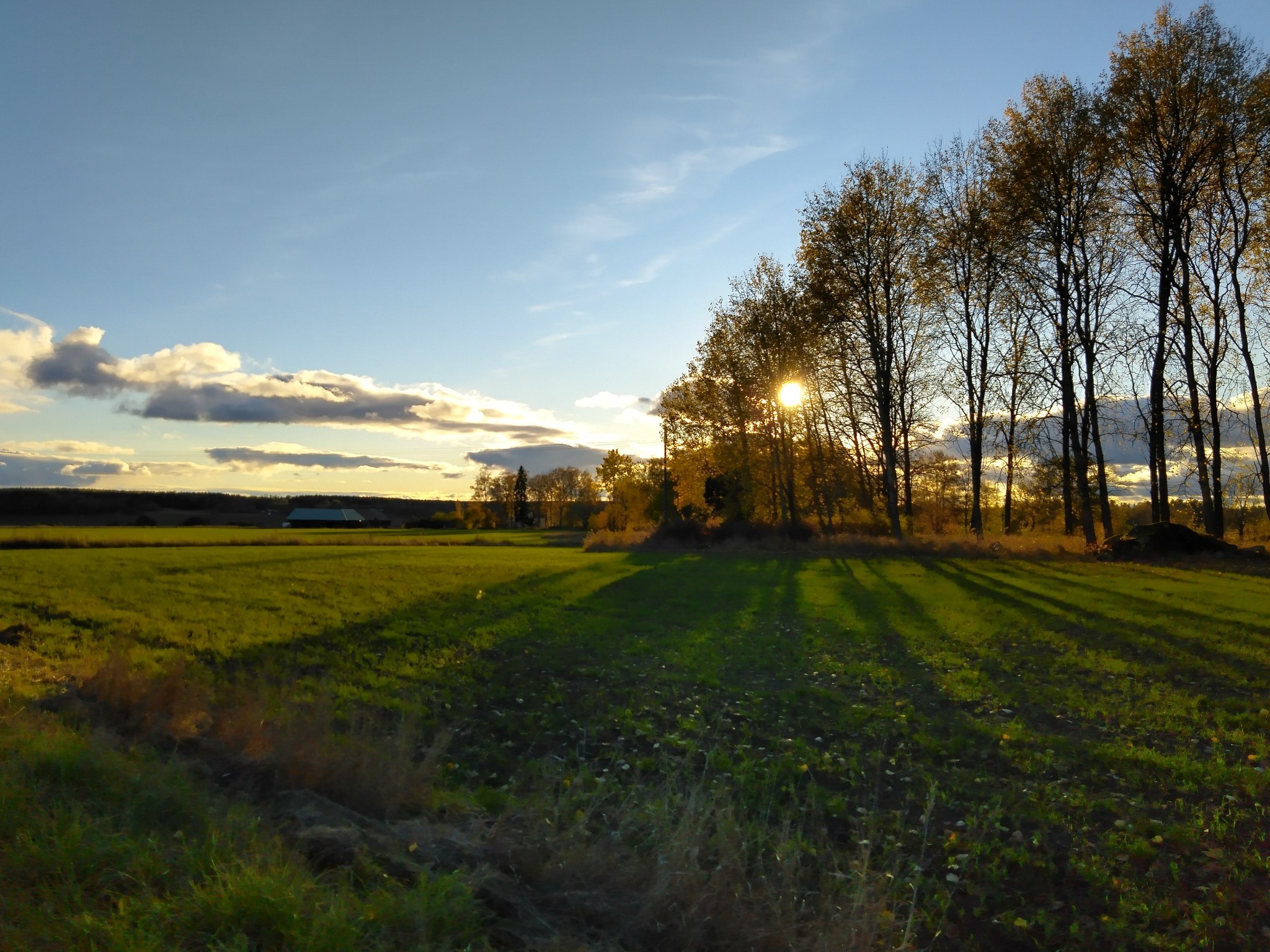 Just a autumn evening walk