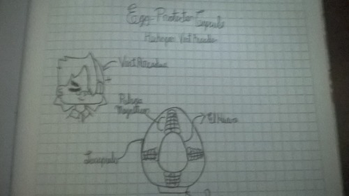 Ijoaqdraws:a Proyect For The Space Eggs Made By Moringmark And The First In Tumblr