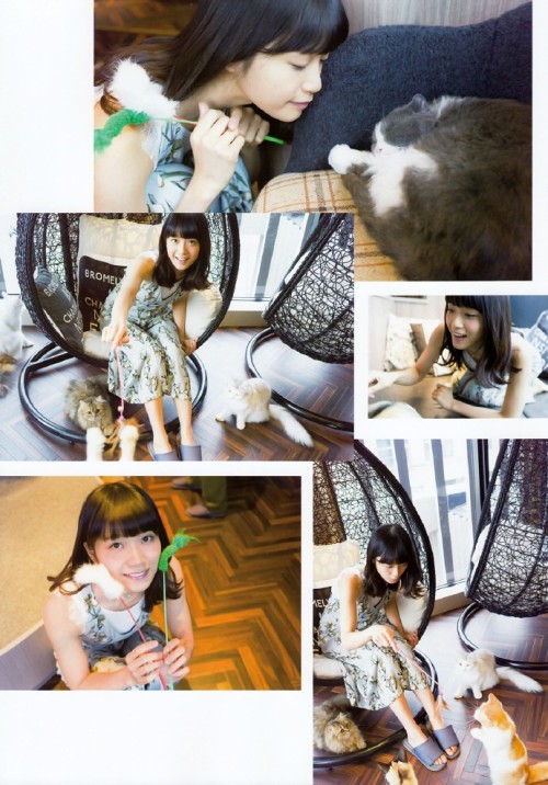 maimai