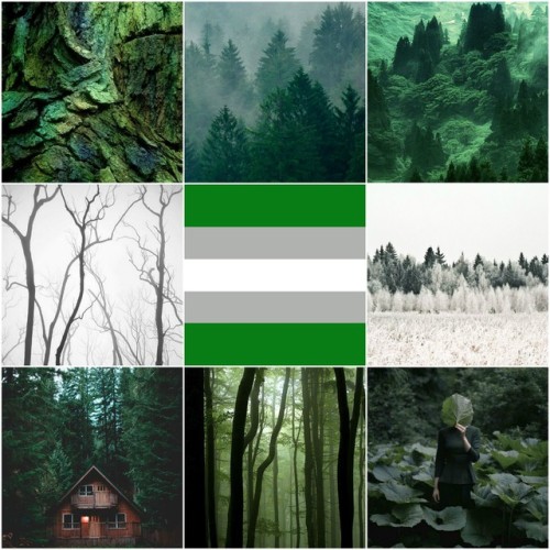 aro-acethetic: Grayromantic + forest for @pillowcreeks!!!! Keep reading