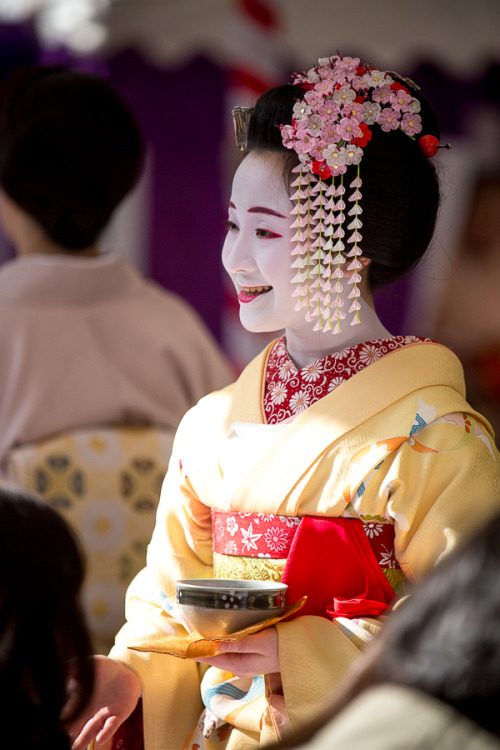 Baikasai 2016 + ume blossoms at Kitano Tenmangu shrine, by Prado Prado’s pictures always make me wis