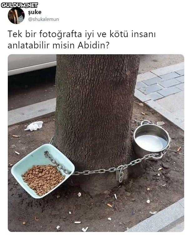 şuke @shukalemun Tek bir...