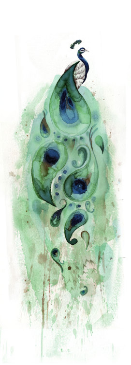 Tracey Cameron (Calgary, Canada based) - Peacock - Opus 2, 2012   Paintings: Watercolors