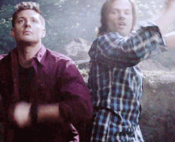 clairvoyantsam:  Because we all need these dancing dorks on our dash (=ﾟωﾟ)ﾉ  