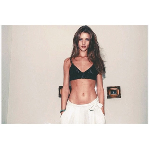 iindivine:  🌹 on We Heart It.