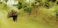 lotrdaily:The Fellowship of the Ring + scenery