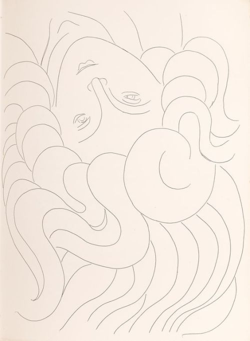 topcat77:Matisse