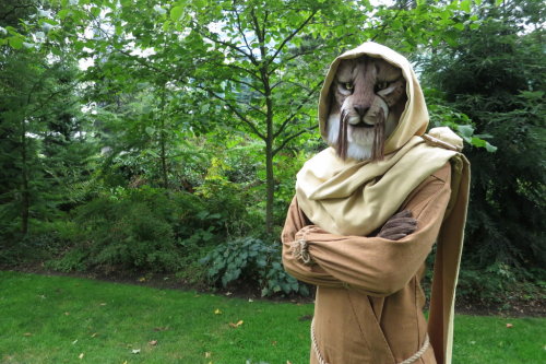 theomeganerd:Skyrim Khajiit M'aiq the Liar Cosplay by TalaayaCosplay 