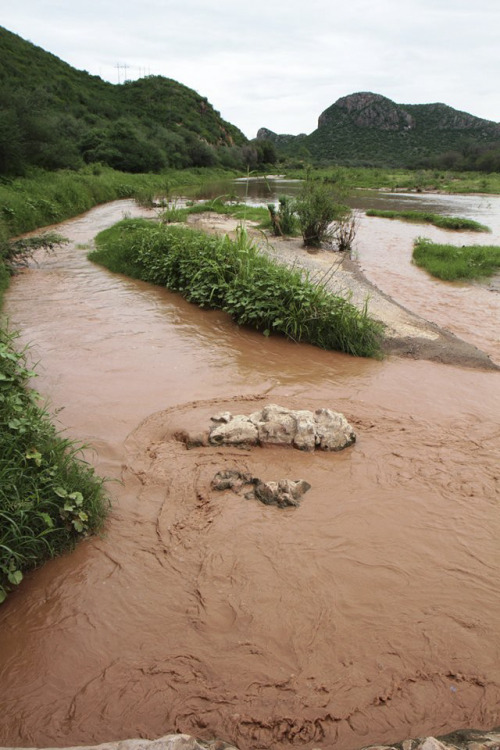 micdotcom:Vile photos show the crisis at the U.S.-Mexico border no one is talking aboutWith a spate 