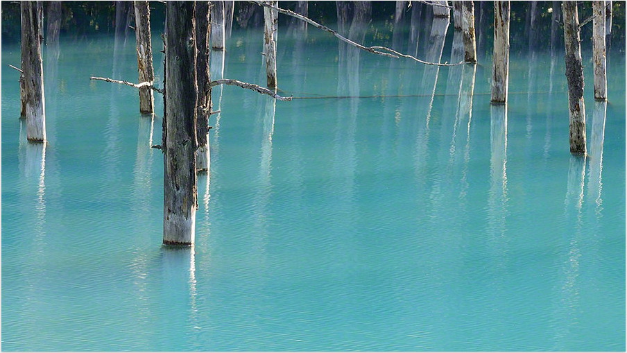 thekhooll:  50 Shades of Blue By Kent Shiraishi 