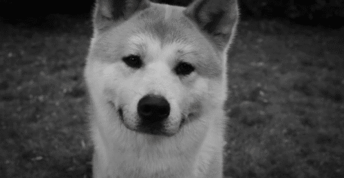  ❤