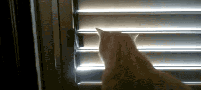funny-gif-1:  Other Funny Gİfs http://funny-gif-1.tumblr.com/