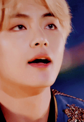 Taehyung Dnalove Yourself World Tour; Japan