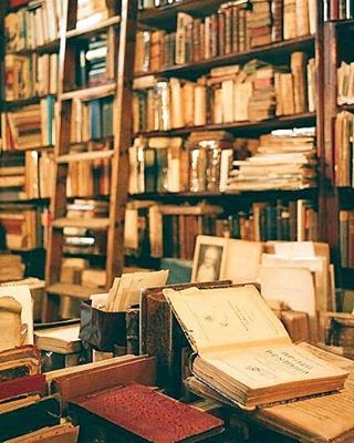 pinkwinged:b.books.s