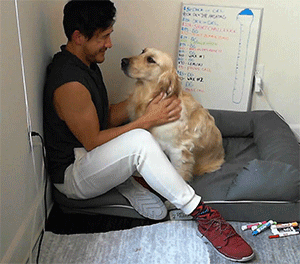 dogiplier:  SUCH A GOOD GIRL