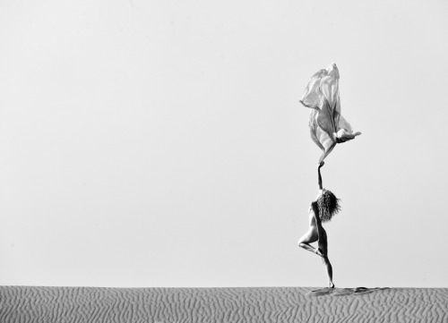 fredau: By Jamie Maciuszek