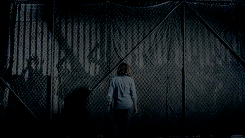 iheartnewt:   The wall’s gonna hold together. Can you? 