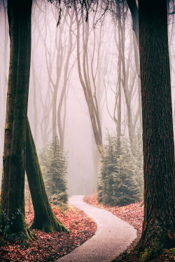 foresity:  Journey's end bytvurk  Robert Frost (1874–1963).  Mountain Interval.  1920.  1. The Road Not Taken   TWO roads diverged in a yellow wood,And sorry I could not travel bothAnd be one traveler, long I stoodAnd looked down one as far