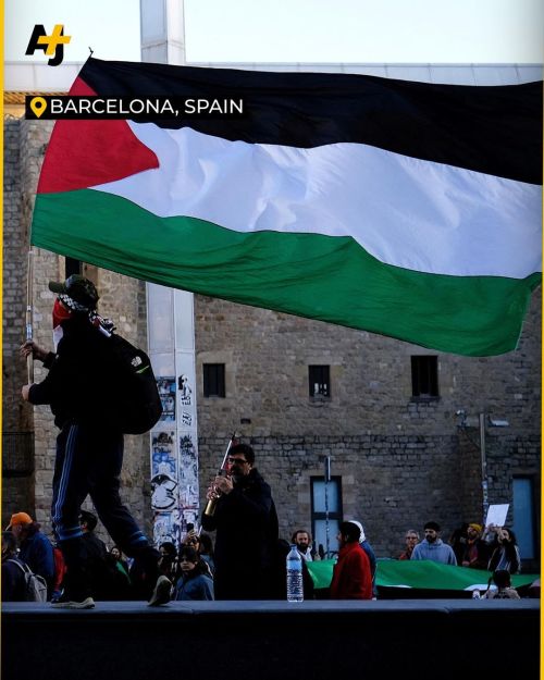 Don't Feel Helpless. You're Not Speaking Up For Palestine Alone. The World, Humanity, Is With You.