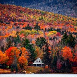 opticcultvre:    Another little house along the shores of a pond in Maine. by   shanemichaelblack     Absolute perfection