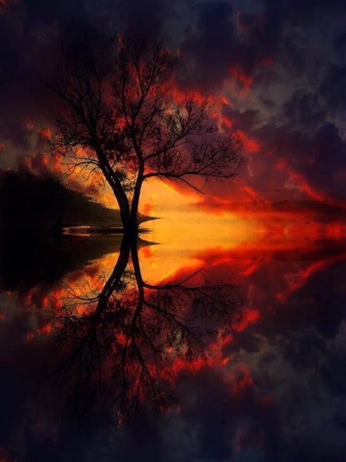 tumblr photo elihime 0