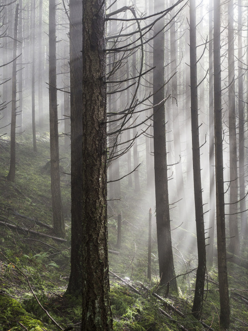 Indian Point Hike March 2016-1 by Matt Snyder