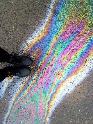tooweirdto-live-toorareto-die:  ▲ 