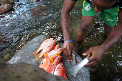 Village life in Dominica in the West Indies. 2014