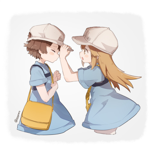 thetangles: ★ 隊長/yue | + + + ☆ ⊳ platelets (cells at work) ✔ republished w/permission