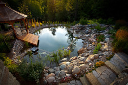 Sixpenceee:  Natural Swimming Pools  Natural Swimming Pools Use Plants Or A Combination