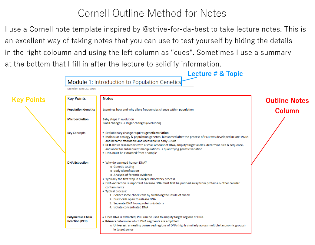 CHIC STUDIES — vanesastudies: How I Use OneNote for University Within Onenote Cornell Notes Template