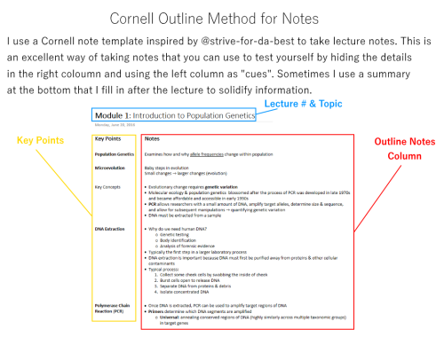 vanesastudies: How I Use OneNote for University Hey, all! I thought I’d share how I use OneNote, for