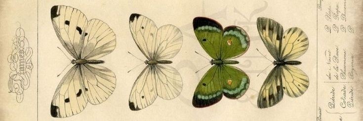 d5008c2816c84ada0ea9e1bbd39edefa1827e9fc.jpg