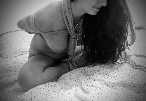 ropes-and-pegging: Shrimp tie with girlfriend…love to see you little pussy open for me ;) Mor