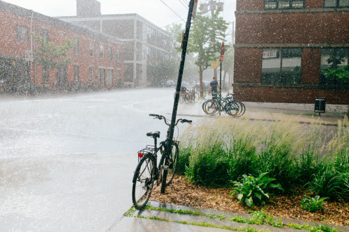 thelocalwanderer: a rainy day in Montreal.