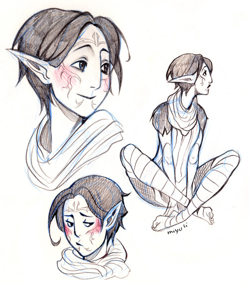 sunegami: miyuli: Dragon Age has been consuming my life for a while now so I doodled some of the DA2