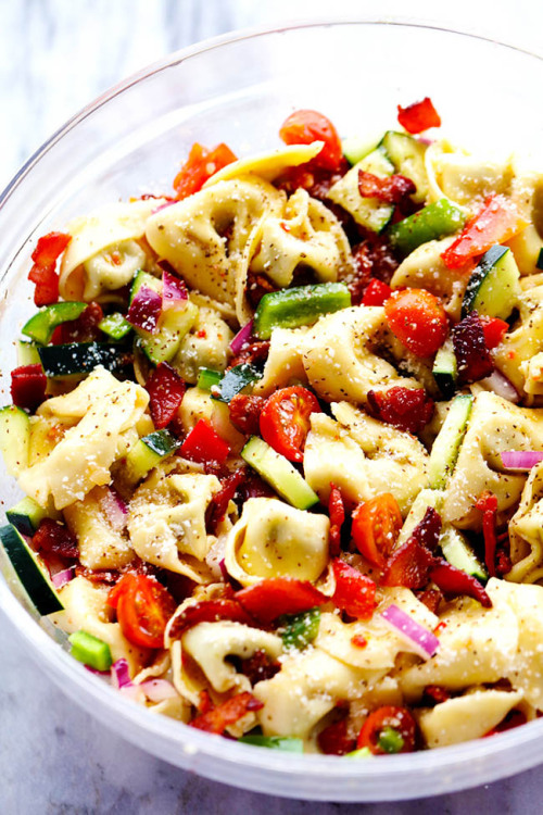 do-not-touch-my-food:Tortellini Bacon Vegetable Salad