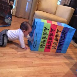 Someone is enjoying the tissue paper grandma &amp; grampa @lorinfluent @terryfluent got him. Thank you . #swaydensfirst by 1daisymarie