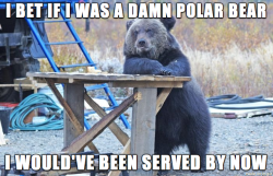 meme-spot:  Restaurant bear  tedy é assim