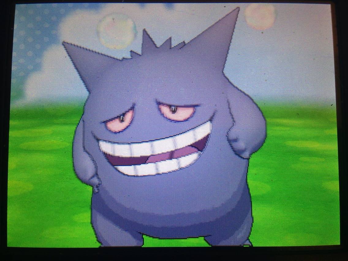 workinglynx:  workinglynx:  workinglynx:  workinglynx:  workinglynx:  POKEMON GIVEAWAY!