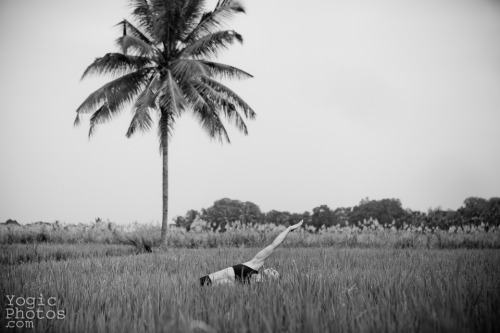 Melina in Mysore, India. Melina is the founder of Ashtanga Yoga Kifisia in Greece. Christine Hewitt 