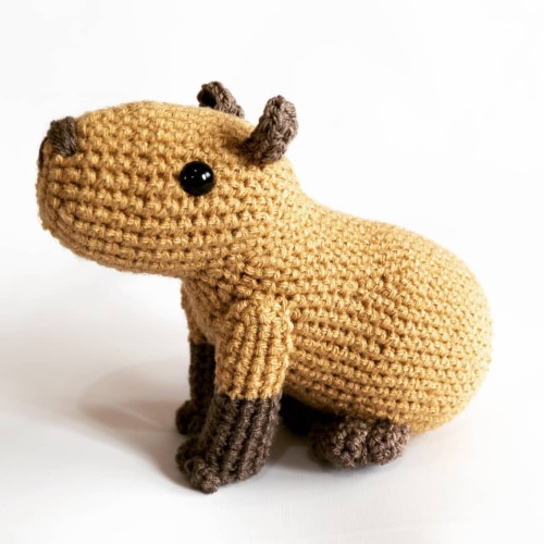 Got a request for a custom amigurumi again. This time it’s a capybara, aka a big guinea pig wi